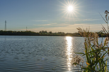 Tranquil scene featuring reeds and grass in foreground beside a lake. Sunlight reflects off ripples, creating a peaceful atmosphere with distant trees and power lines.