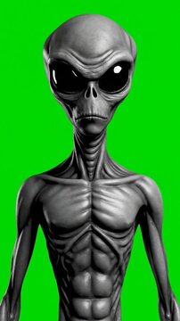 A gray humanoid alien with large black eyes on a green background