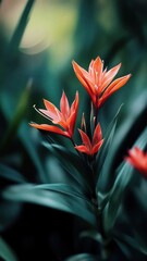 Obraz premium Vibrant canna lilies bloom amidst lush foliage, embodying natural beauty