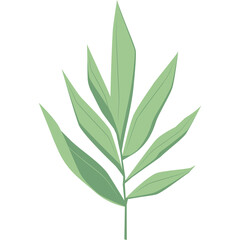 Simple Minimalist Green Leaf Branch Vector Illustration on Transparent Background Elegant Natural...