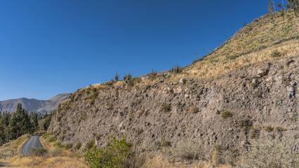 An asphalt road runs along a steep cliff. Yellowed dry grass, green trees on the roadsides. Mountains against a blue sky. Peru Colca. Copy space