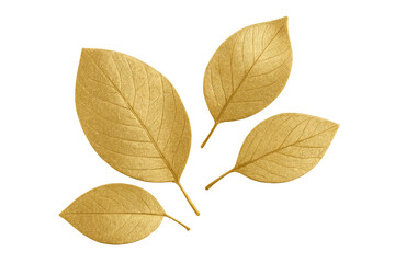 Obraz premium Golden leaves background element, rich autumn nature decor, luxury texture, transparent background