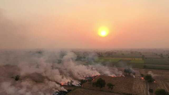 pakistan city lahore is world most polluted city in the world due to smog.Farmer burn their crops waste.The smoke rise in air and become smog.