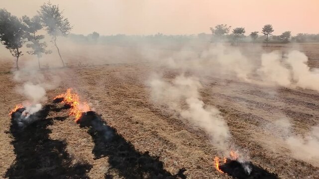 pakistan city lahore is world most polluted city in the world due to smog.Farmer burn their crops waste.The smoke rise in air and become smog.