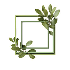 Elegant square frame with delicate green leaves and branches for design isolated on transparent background