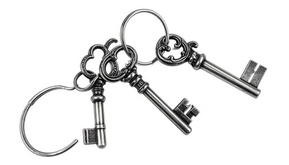 Old key chain on a ring, isolated on a white background