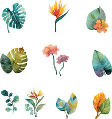 Fototapeta premium set of colorful autumn leaves