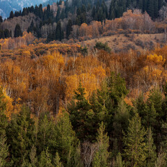 Kazachstan landcapes, traktor made in USSR, autumn colors.