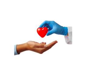 Medical professional s gloved hand offers a red heart to an open palm isolated on transparent background 