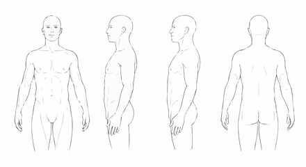 Anatomical Human Figure Study - Front, Side, and Back Views.