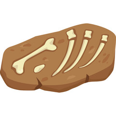 Fossilized Dinosaur Rib Cage Bone Embedded in Brown Stone Rock Ancient Remains Natural History Paleontology Discovery