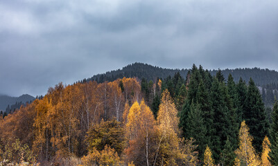 autumn in the mountains