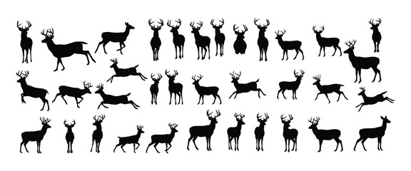 Collection of deer silhouettes in various poses suitable for design projects