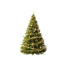 Classic Lit and Decorated Christmas Tree