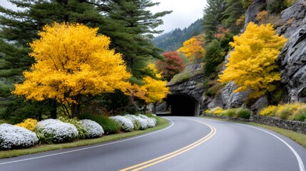 Blue Ridge Parkway autumn road tunnel foliage
