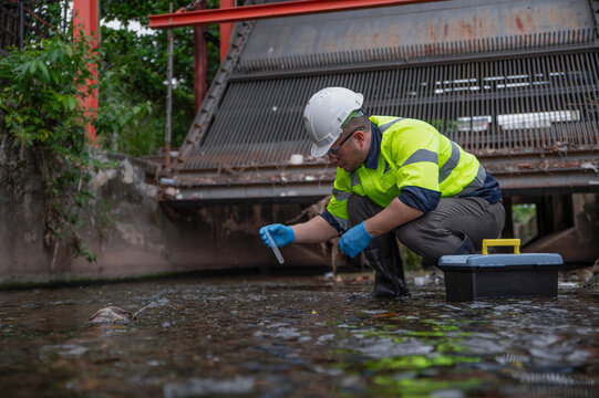 A specialist biologist is collecting water samples from a stream to examine its ecosystem.