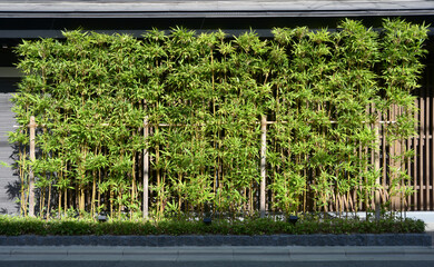 街角の風景　スケッチ写真