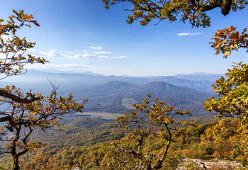 Autumn walks through the autumn forest in the morning in the park of the mountain range