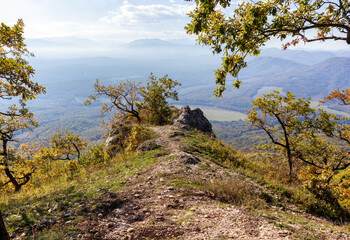 Autumn walks through the autumn forest in the morning in the park of the mountain range