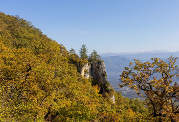 Autumn walks through the autumn forest in the morning in the park of the mountain range