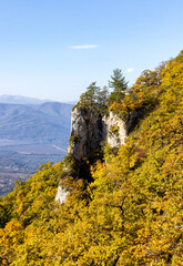 Autumn walks through the autumn forest in the morning in the park of the mountain range
