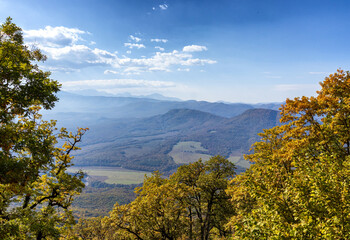 Autumn walks through the autumn forest in the morning in the park of the mountain range
