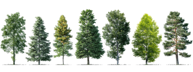 Various tree types, diverse foliage