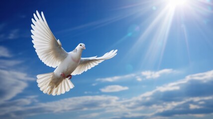 Fototapeta premium A white dove soaring through a bright blue sky with scattered clouds and radiant sunlight shining down