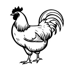 A striking vector illustration of a proud rooster symbolizing strength, sunrise, and new beginnings. Perfect for farm logos, organic brands, or country themed designs.