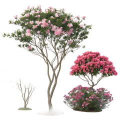 Naklejka premium pink tree in a pot