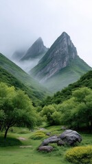 Misty Jagged Limestone Peaks in Lush Green Forest valley with Wildflowers and Boulder in Foreground Soft Natural Light