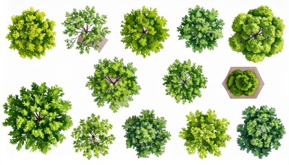 Obraz premium Top View Green Tree Collection for Landscape Rendering