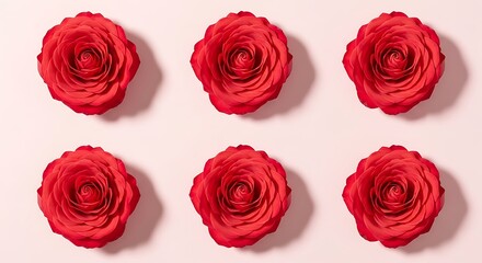 Obraz premium Six Red Roses Arranged in Two Rows on Light Pink Background