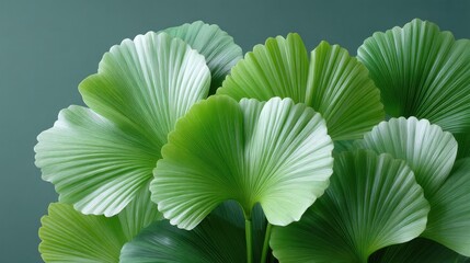 Vibrant Macro Close-up of Green Tropical Leaves with Detailed Vein Patterns and Speckled Texture Against a Soft Teal Background