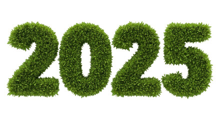 Green Leafy 2025 Number Text on Transparent Background