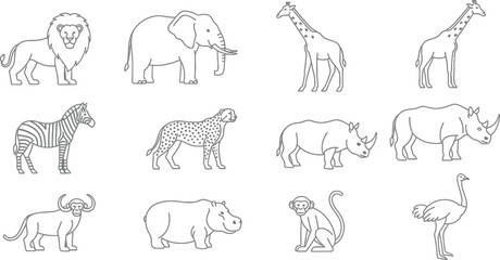 African animals lion elephant giraffe zebra cheetah rhino hippo monkey ostrich zoo