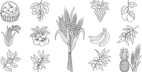 Fruits vegetables wheat corn basket grapes tomatoes bananas olives pineapple food