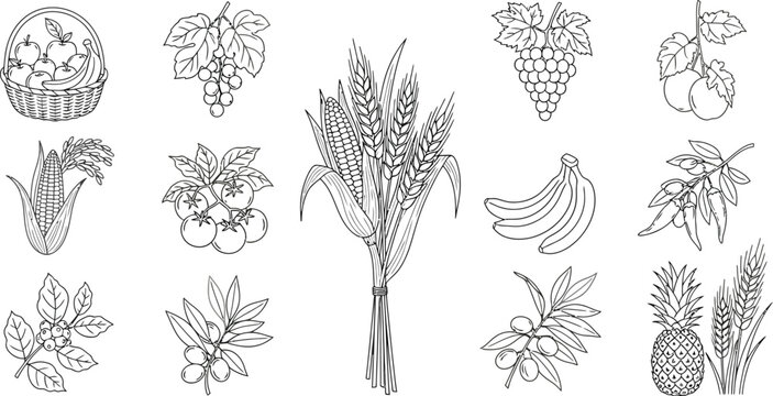 Fruits vegetables wheat corn basket grapes tomatoes bananas olives pineapple food