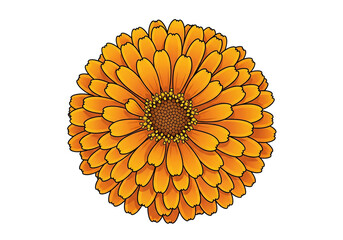 crane, peony, png, transparent, vector, illustration, pink, sunrise, japan, bird, floral, mountain, cherry, flower, flying, asian, art, decor, clipart, graphic, icon, spring, bloom, petal, nature, ori