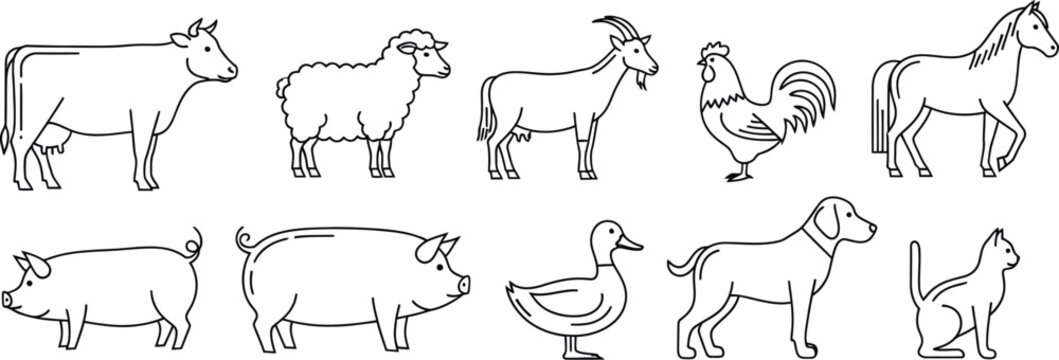 Farm animals livestock cow sheep goat chicken horse pig duck dog cat outline