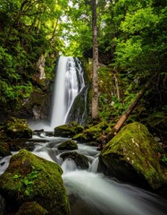 Fototapeta premium Lush waterfall cascading down mossy rocks in a dense forest