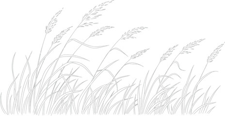 Fototapeta premium Grass field nature summer plant wind meadow agriculture rural landscape farm