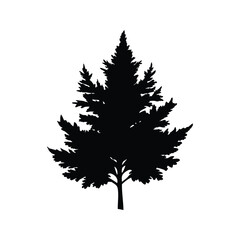 Obraz premium Elegant silhouette of a coniferous tree on a stark white background scene, cypress branch silhouette vector illustration