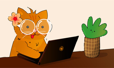 A cute orange cat with a laptop for wallpaper 