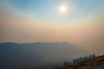 Apocalyptic Forest Fire Smoke at Sunset