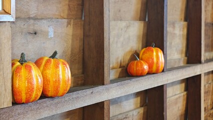 Pumpkin for halloween festive decoration.