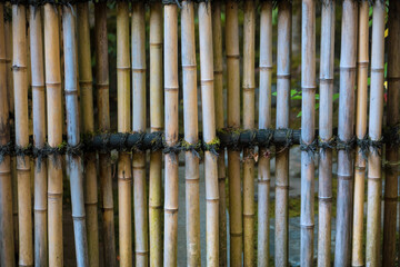 Dry Bamboo fence in a garden close up view for background use.