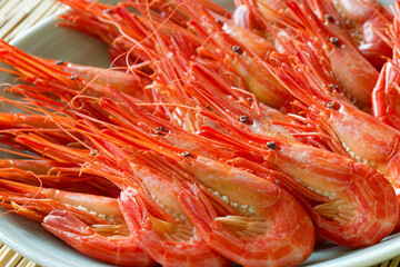 北海シマエビ