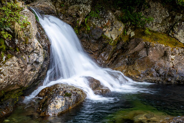 Lower Wallace Falls Surrounded by Vibrant Moss and Forest
