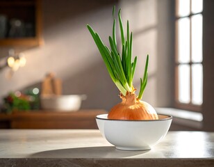 Close-up of a kitchen countertop with an onion sprouting new green shoots in a white bowl
